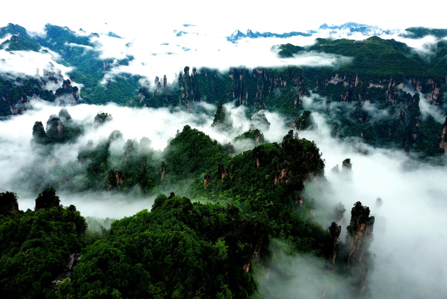 拍摄日期:2020.3.23