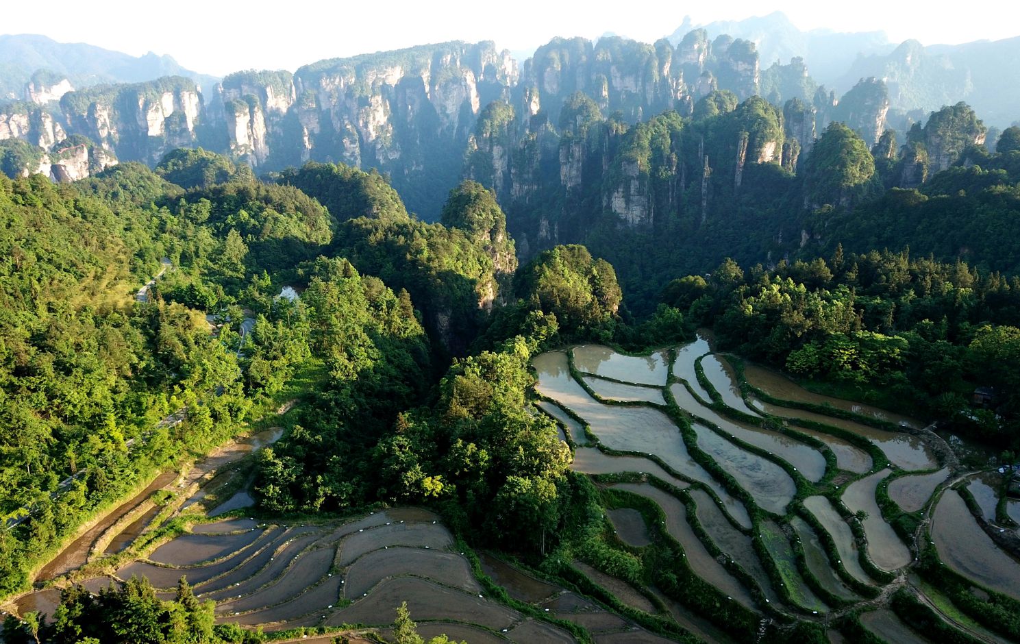 拍摄日期:2020.3.20