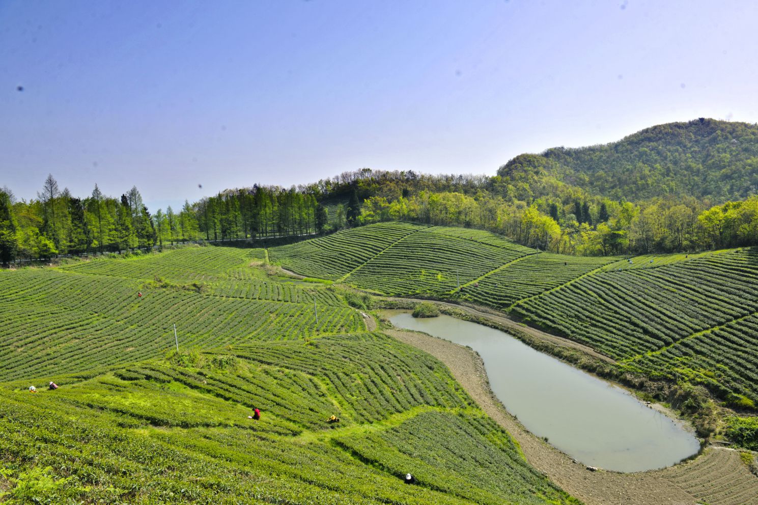 拍摄日期:2020.2.10