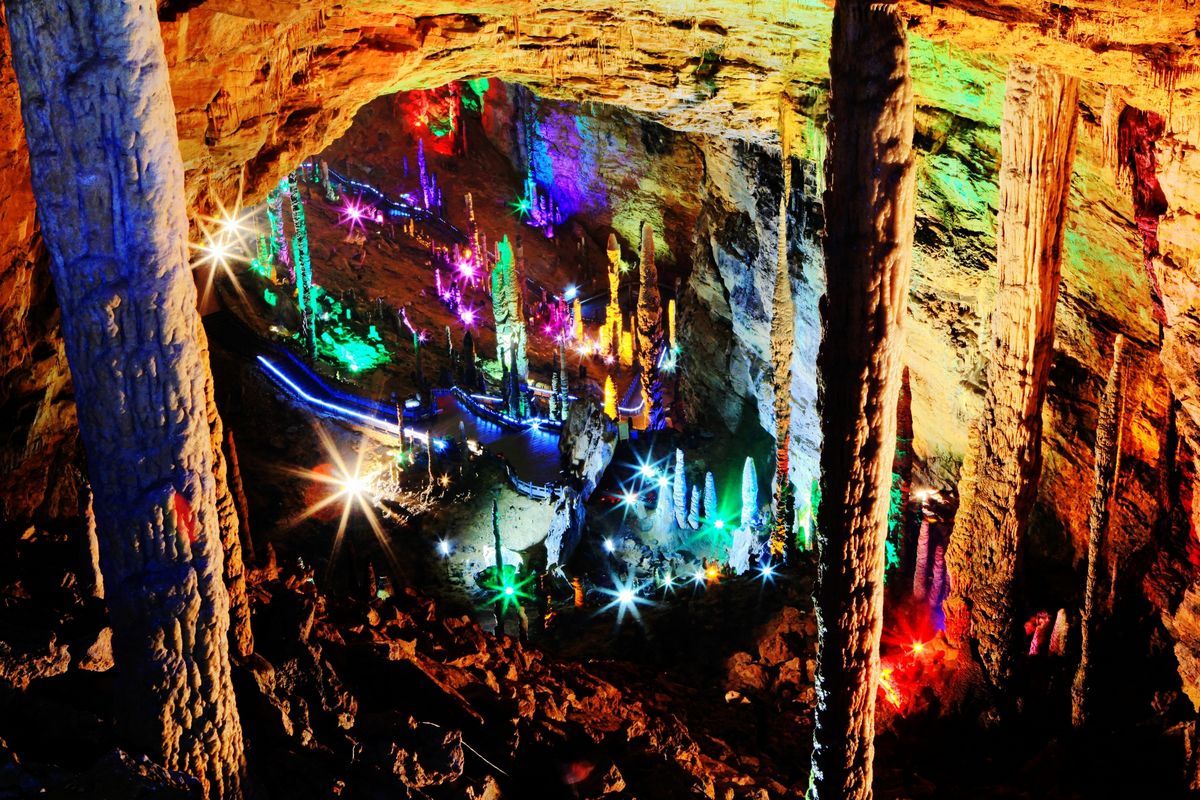 拍摄日期2019.11 (2)