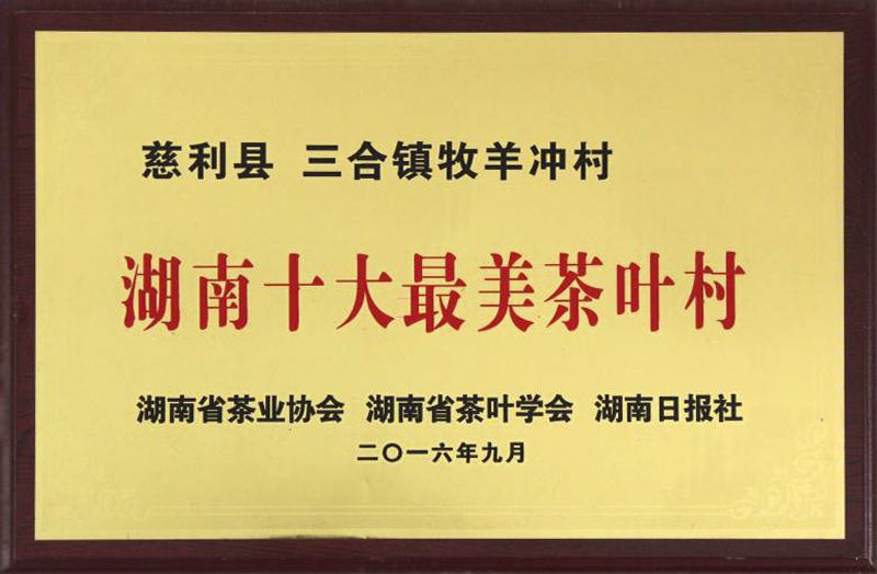 拍摄日期2015.3 (2)