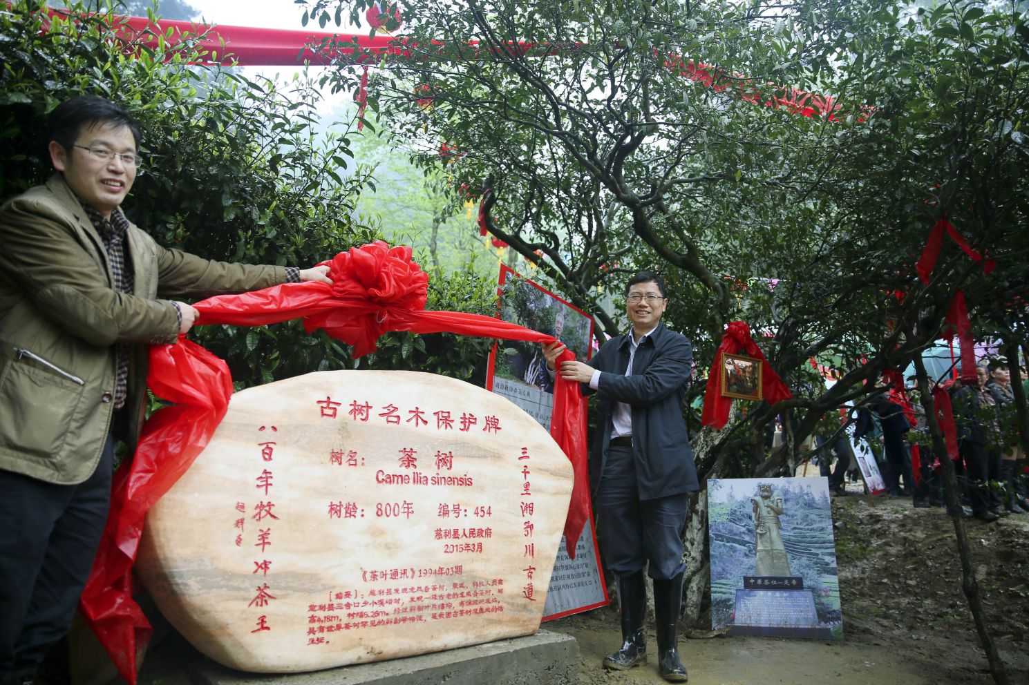 拍摄日期2015.4.18